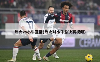 热火vs小牛直播(热火对小牛总决赛视频)