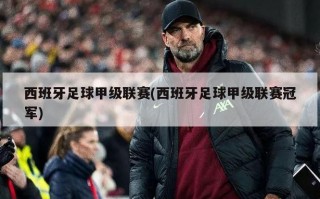 西班牙足球甲级联赛(西班牙足球甲级联赛冠军)