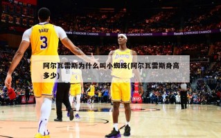 阿尔瓦雷斯为什么叫小蜘蛛(阿尔瓦雷斯身高多少)