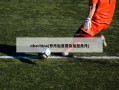 nbachina(乔丹加盟费及加盟条件)