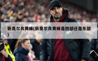 新奥尔良黄蜂(新奥尔良黄蜂是西部还是东部)