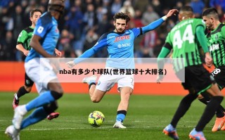 nba有多少个球队(世界篮球十大排名)