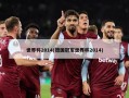 世界杯2014(德国冠军世界杯2014)