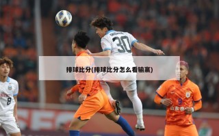 排球比分(排球比分怎么看输赢)
