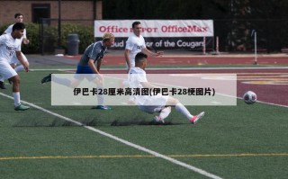 伊巴卡28厘米高清图(伊巴卡28梗图片)