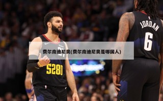 费尔南迪尼奥(费尔南迪尼奥是哪国人)