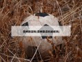 詹姆斯资料(詹姆斯资料被修改)
