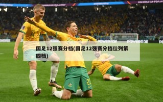 国足12强赛分档(国足12强赛分档位列第四档)